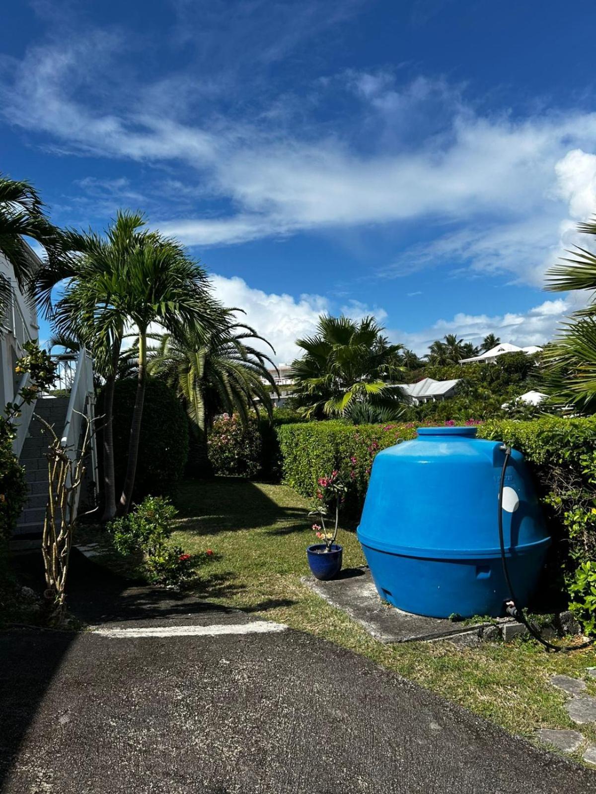 Florentine - Francois - Guadeloupe